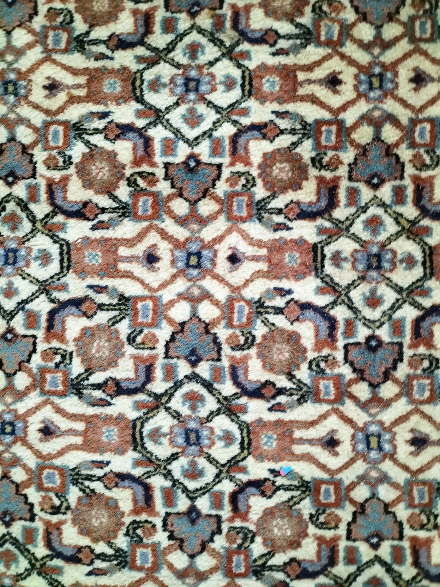 Śliczny Indyjski ręcznie tkany wełniany dywan Herati 195x300cm