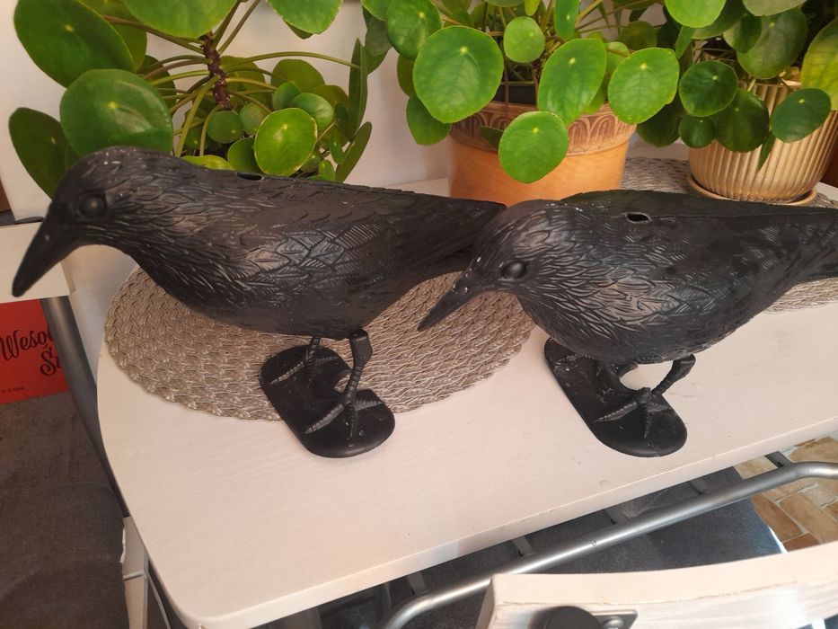 Ptaki kruki odstraszacze gołębki  2 sztuki CZYTAJ OPIS