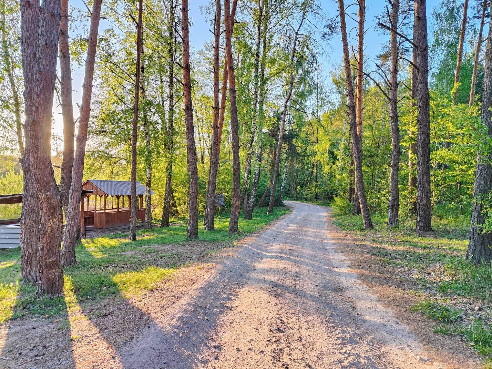 Ділянка 10 сот під лісом с. Дмитрівка / НАЙКРАЩА ЦІНА