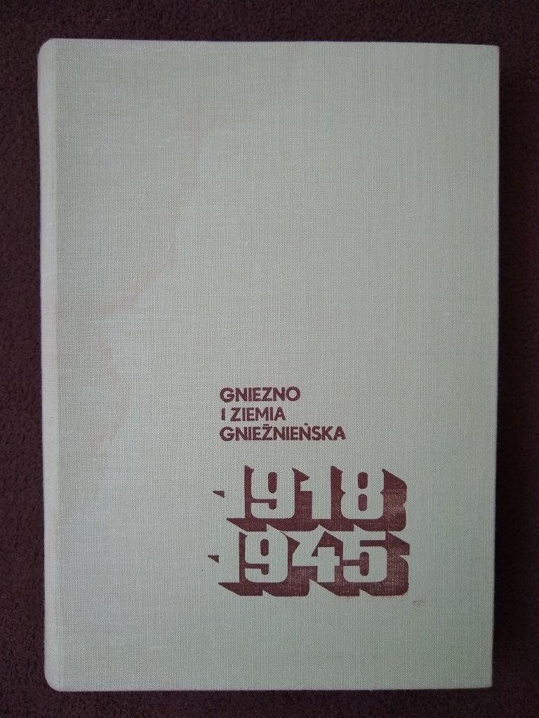 Gniezno i ziemia gnieźnieńska. Walka o wolność narodową i społeczną