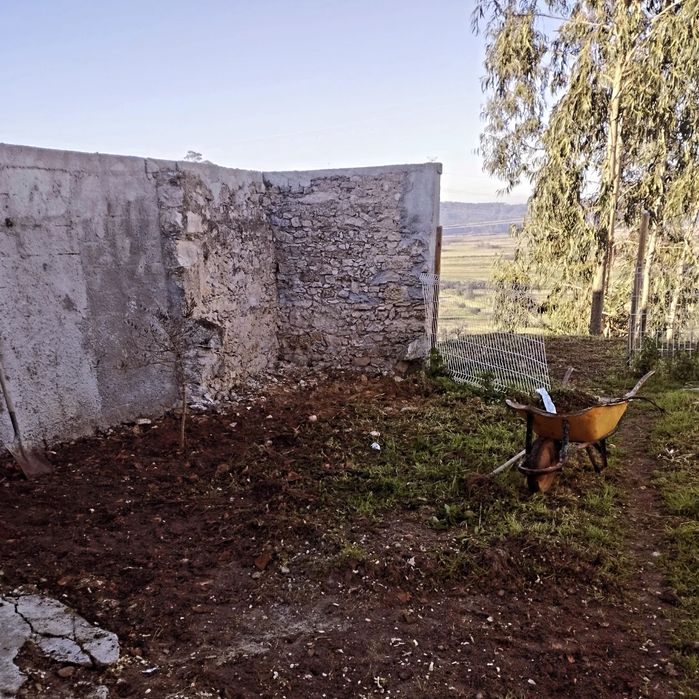 Jardinagem e limpezas em geral