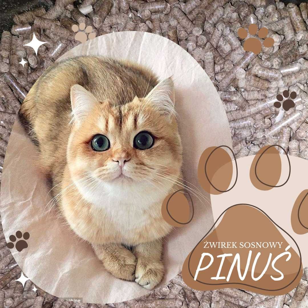 żwirek dla kota 15 kg Pinuś SOSNOWY