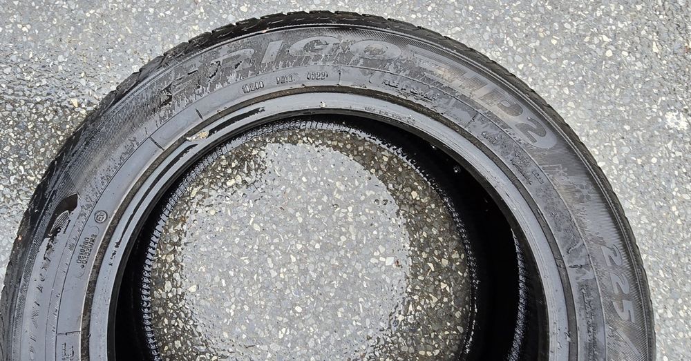 4 opony Dębica Frigo HP2 225/55 R17 101 V XL
Frigo HP2 225/55 R17 101