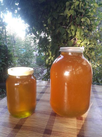 Мёд с домашней пасеки 2023 Натуральный