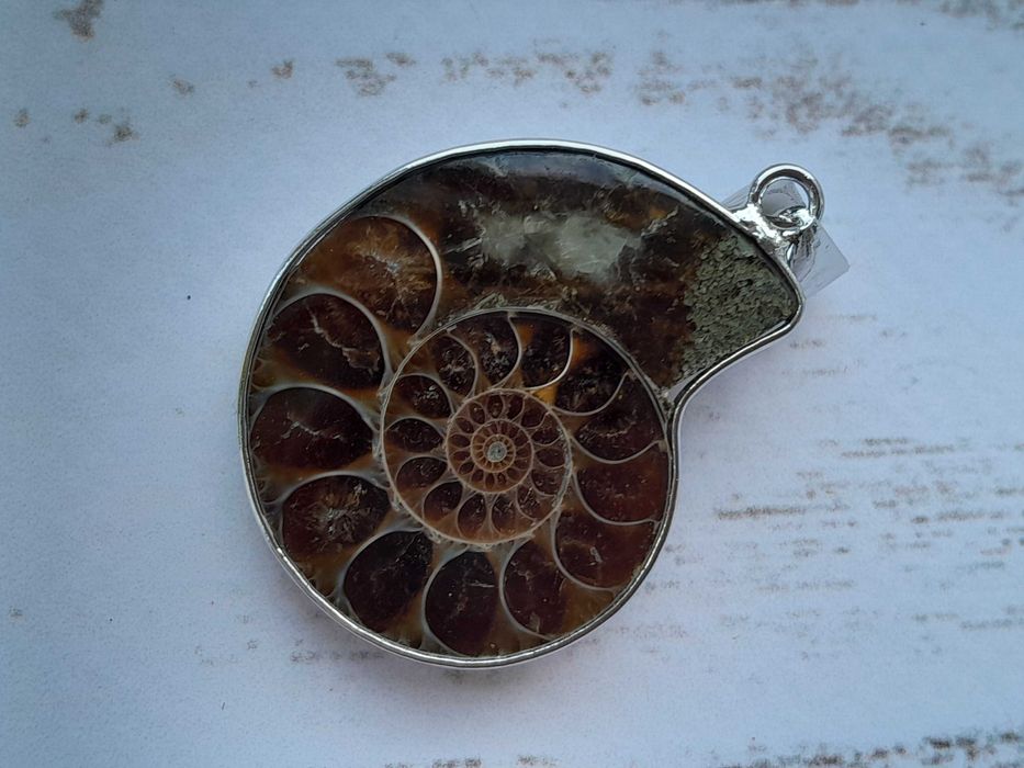 Амоніт кулон мушля, аммонит ракушка, окаменелость натуральный камень