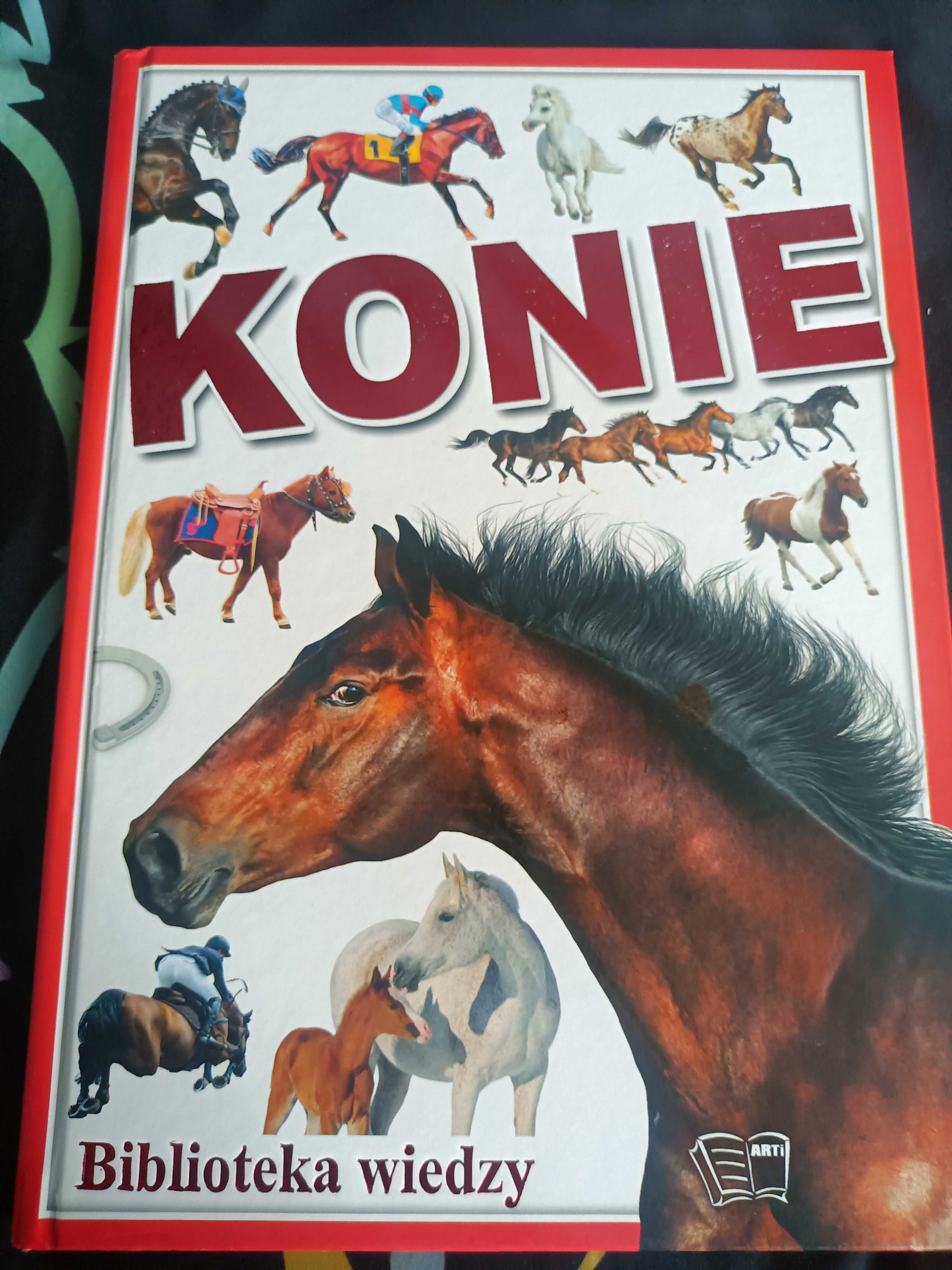 Konie biblioteka wiedzy