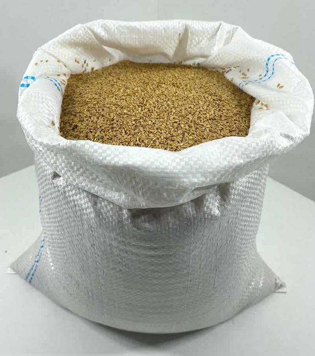 Siemię Lniane Złote Len na Ekologiczny Olej Lniany 5 KG