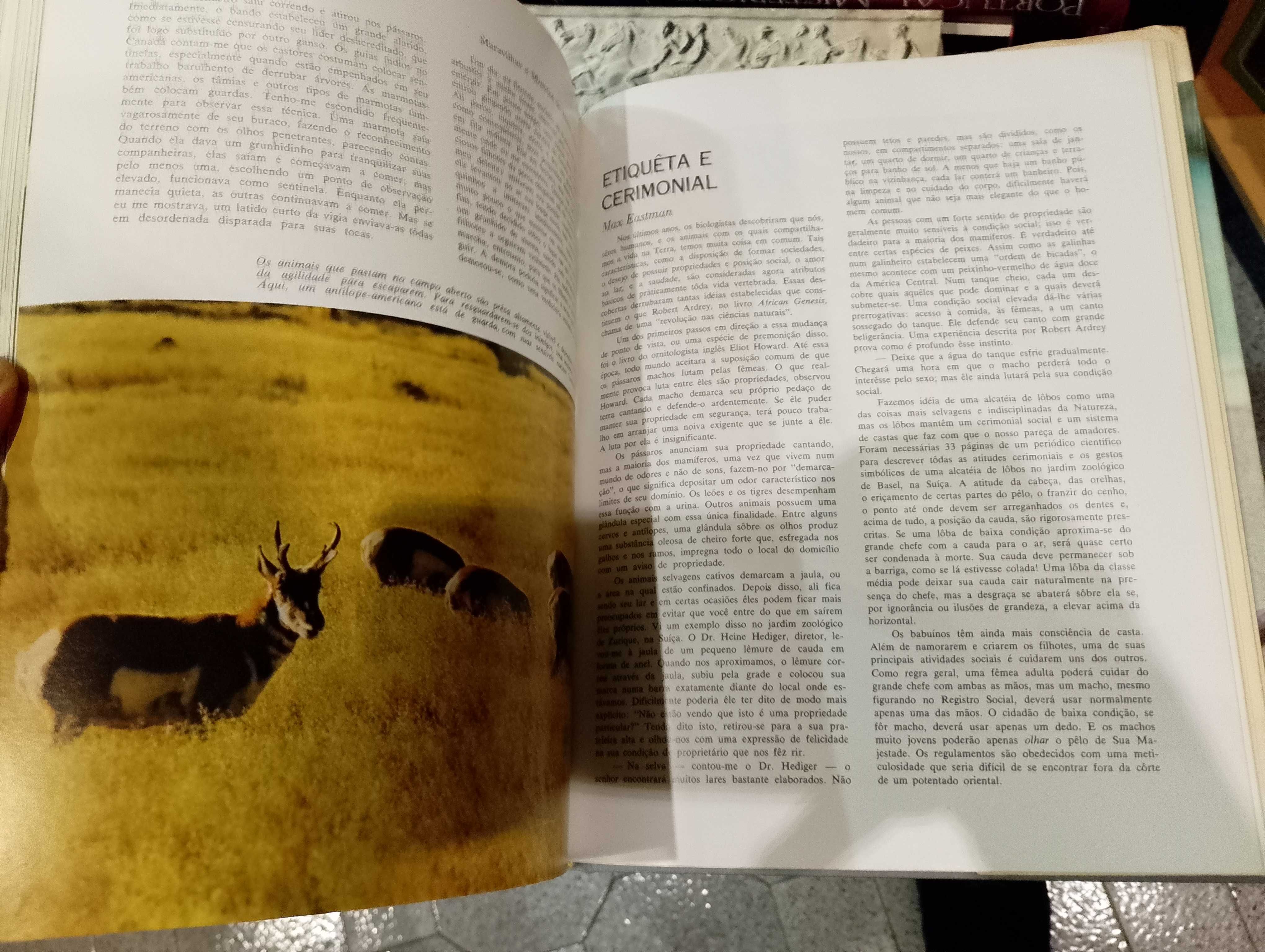 Maravilhas e Mistérios do Mundo Animal - Seleções do Reader's Digest