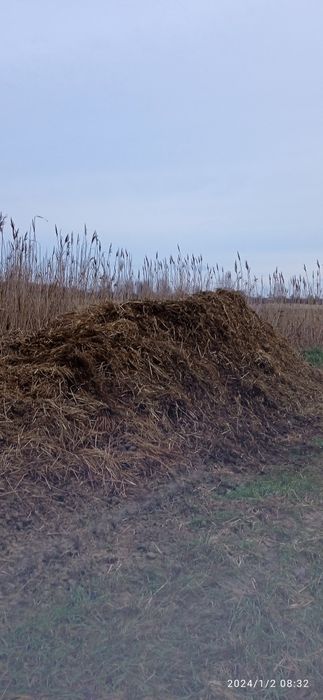 Obornik koński sprzedam/zamienię