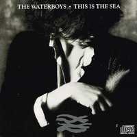 WATERBOYS cd This Is The Sea                indie folk super