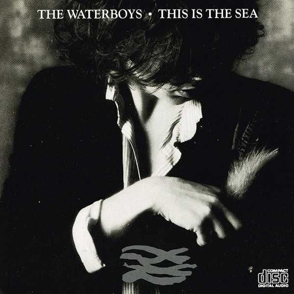 WATERBOYS cd This Is The Sea                indie folk super