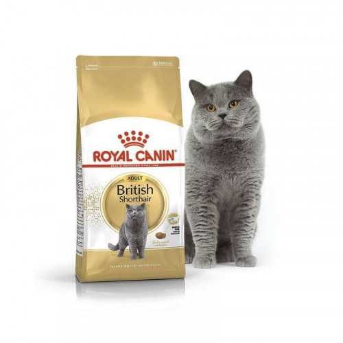 Royal Canin сухий корм для котів всі види - ВИГІДНА ЦІНА!