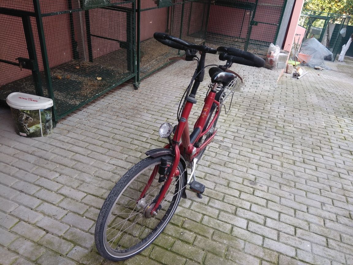 Bicicleta holandesa