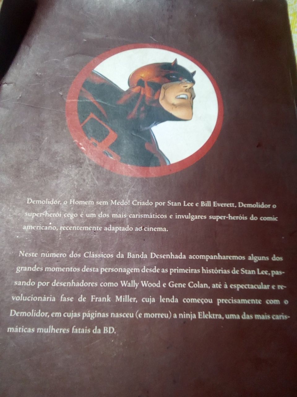 Livro banda desenhada