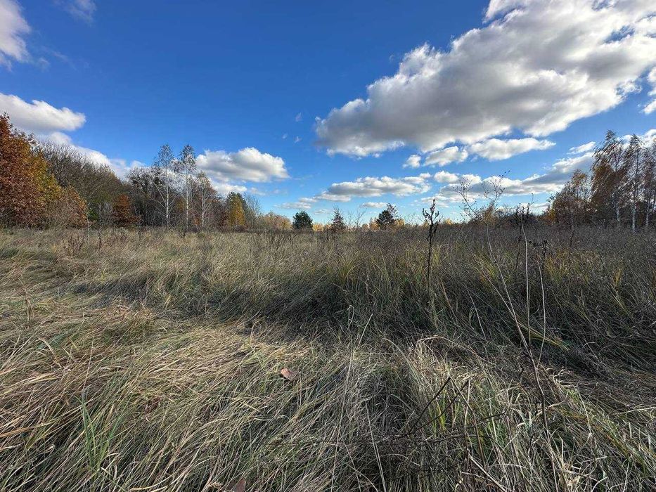 Продаж ділянки 38.36 соток. с Почепин. Макарівський район ID732