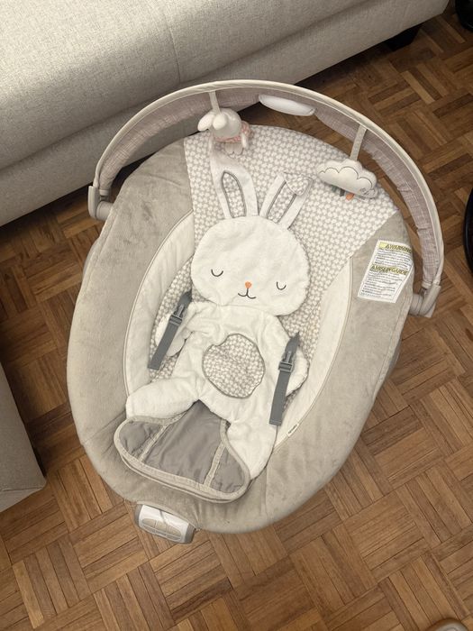 Espreguiçadeira Conforto Ingenuity