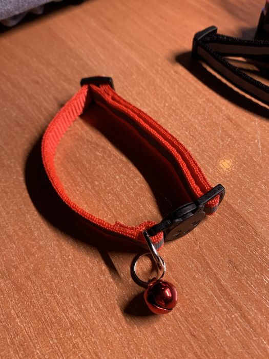 Світловідбивний Нашийник для котів
