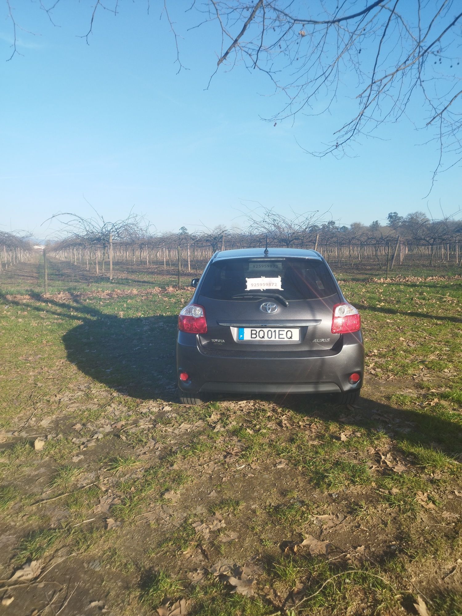 Toyota Auris d4d
