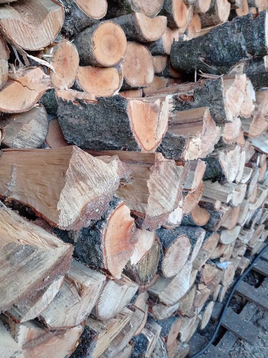 Drewno kominkowe opałowe i sosna sucha