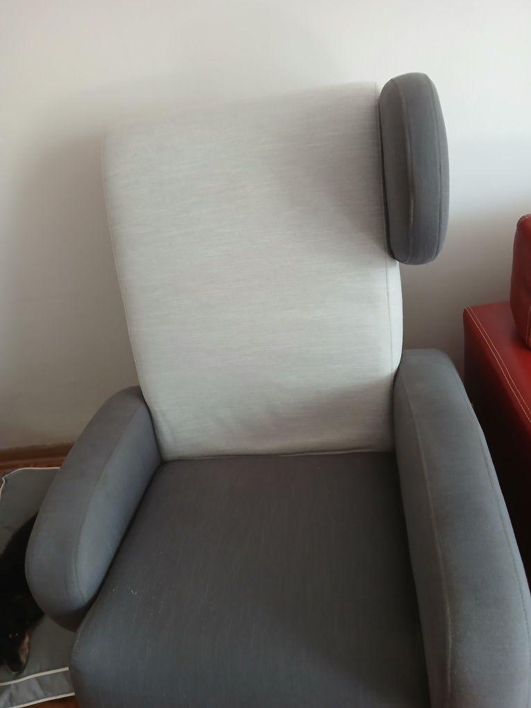 Fotel Picasso trzyletni