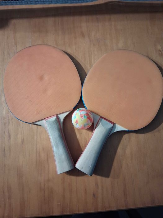 Jogo de Ping Pong  "Artengo"