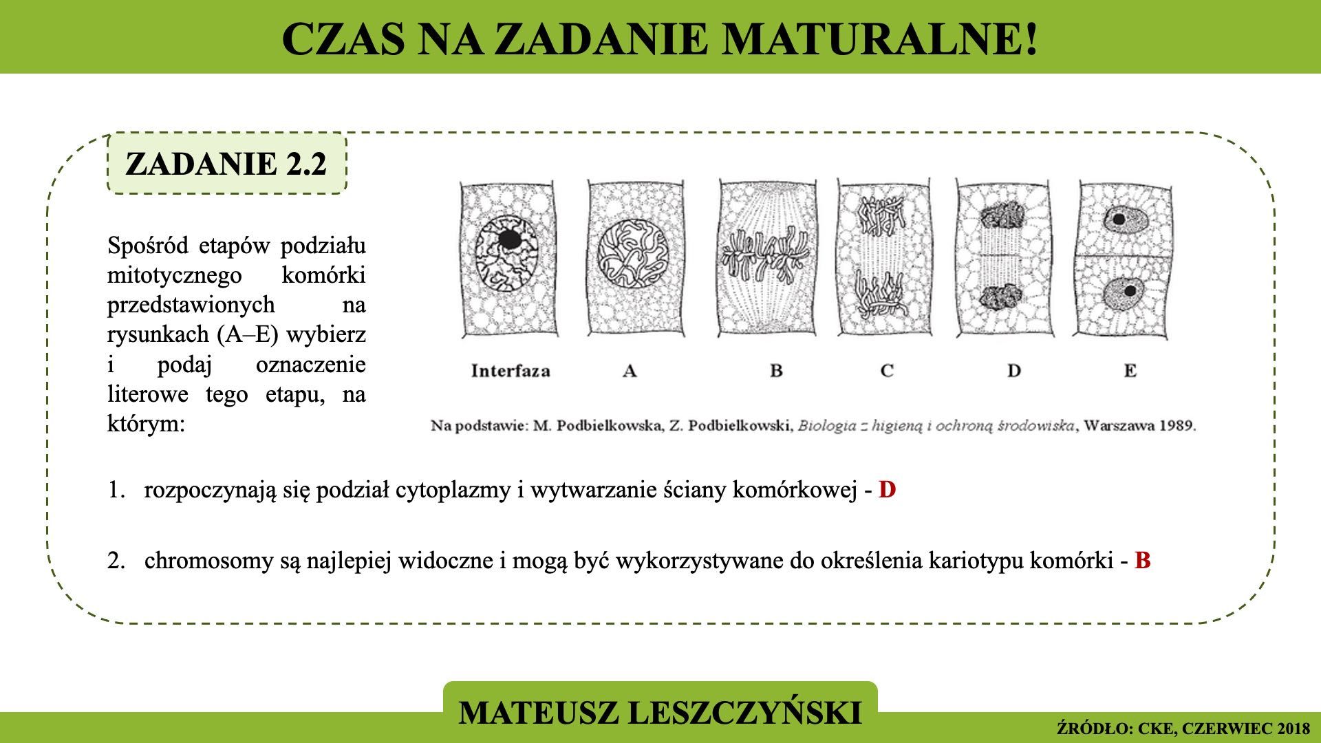 Korepetycje z czynnym nauczycielem biologii!