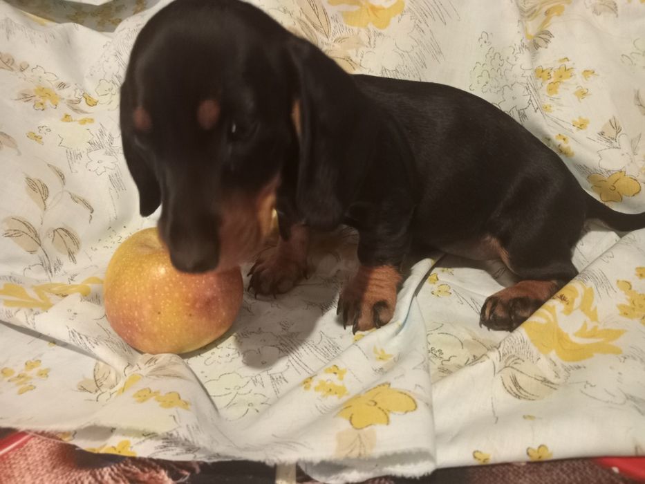 Такси хлопчики і дівчата