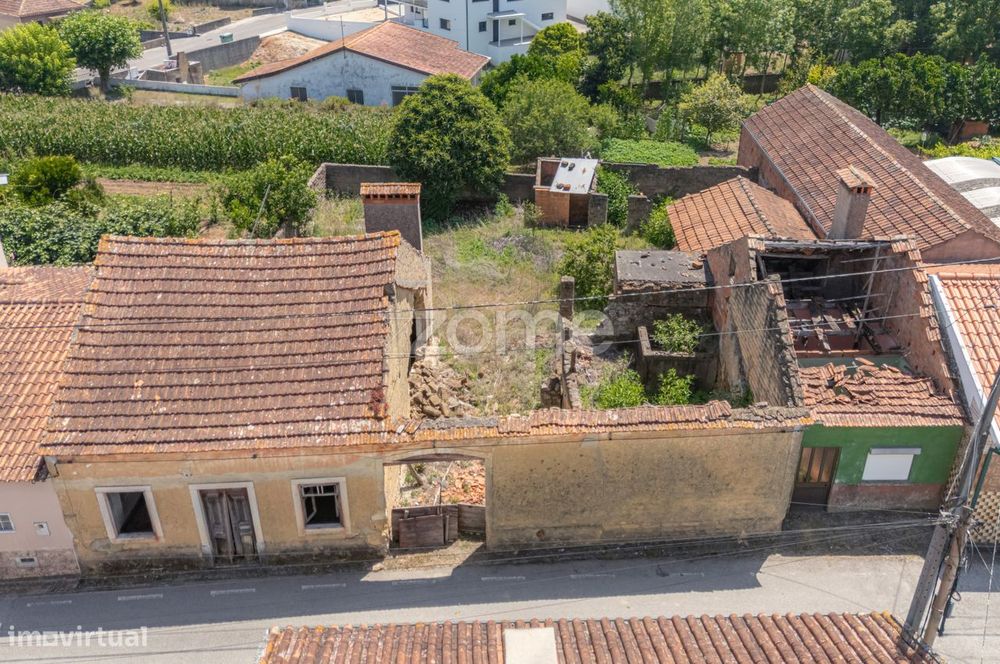 Um Sonho à Espera de Ser Construído na Bairrada, Anadia!
