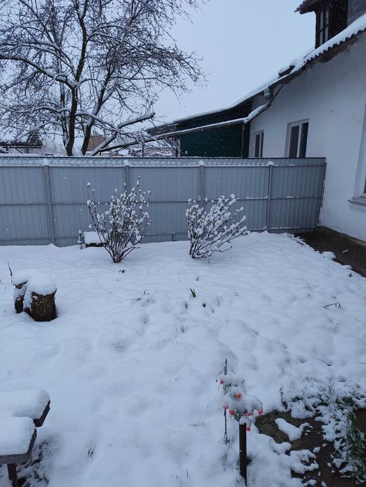 Продам дом в Конотопі вул Клубна 62/2 Сумської області