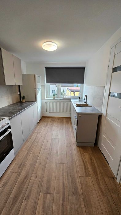 mieszkanie po generalnym remoncie do wynajęcia