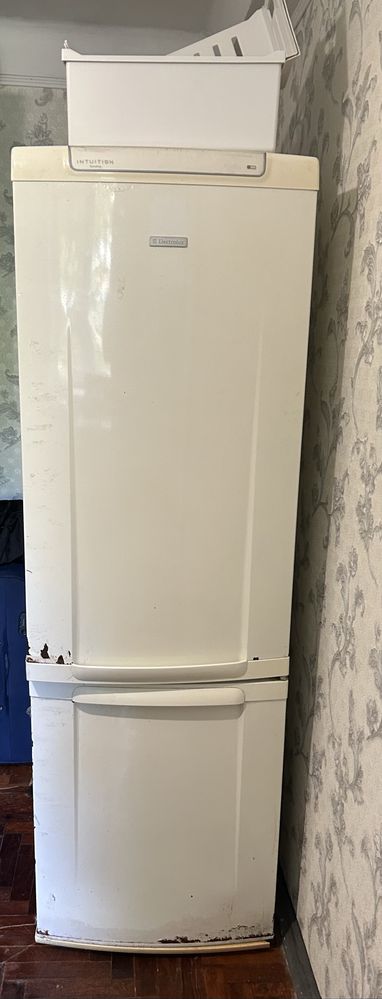 Холодильник Electrolux