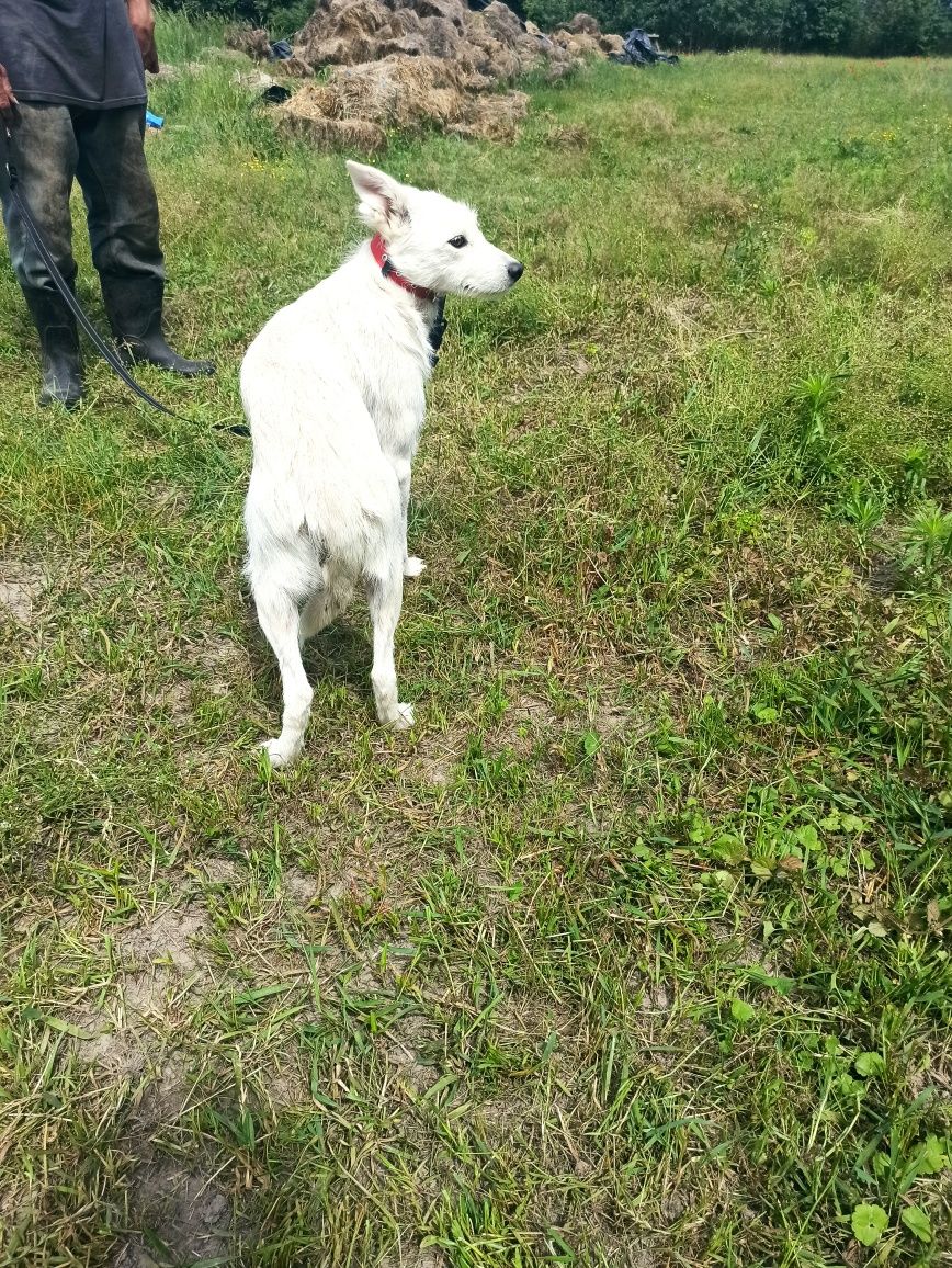 Віддам дівчинку з Херсону