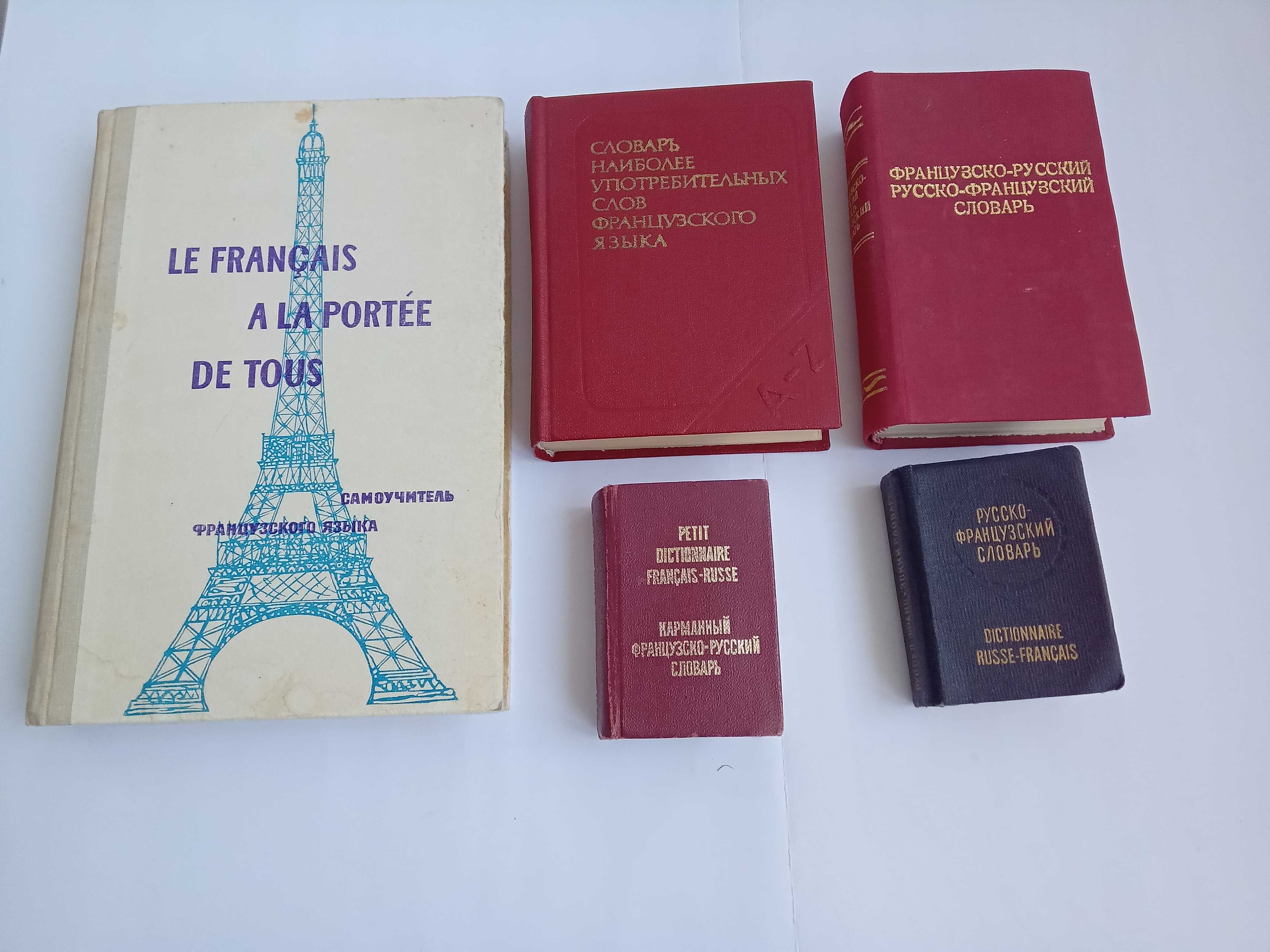 Самоучитель французского языка и 4 словаря.
