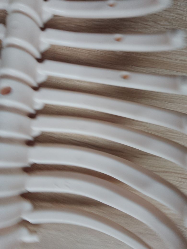 Żebra kostek szkielet ciało człowieka tajemnice ludzkiego ciała