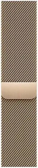 Apple Watch 8 Cellular Stainless Steel Gold