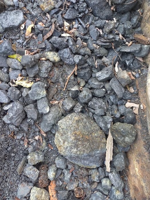 Вугілля з брикетами