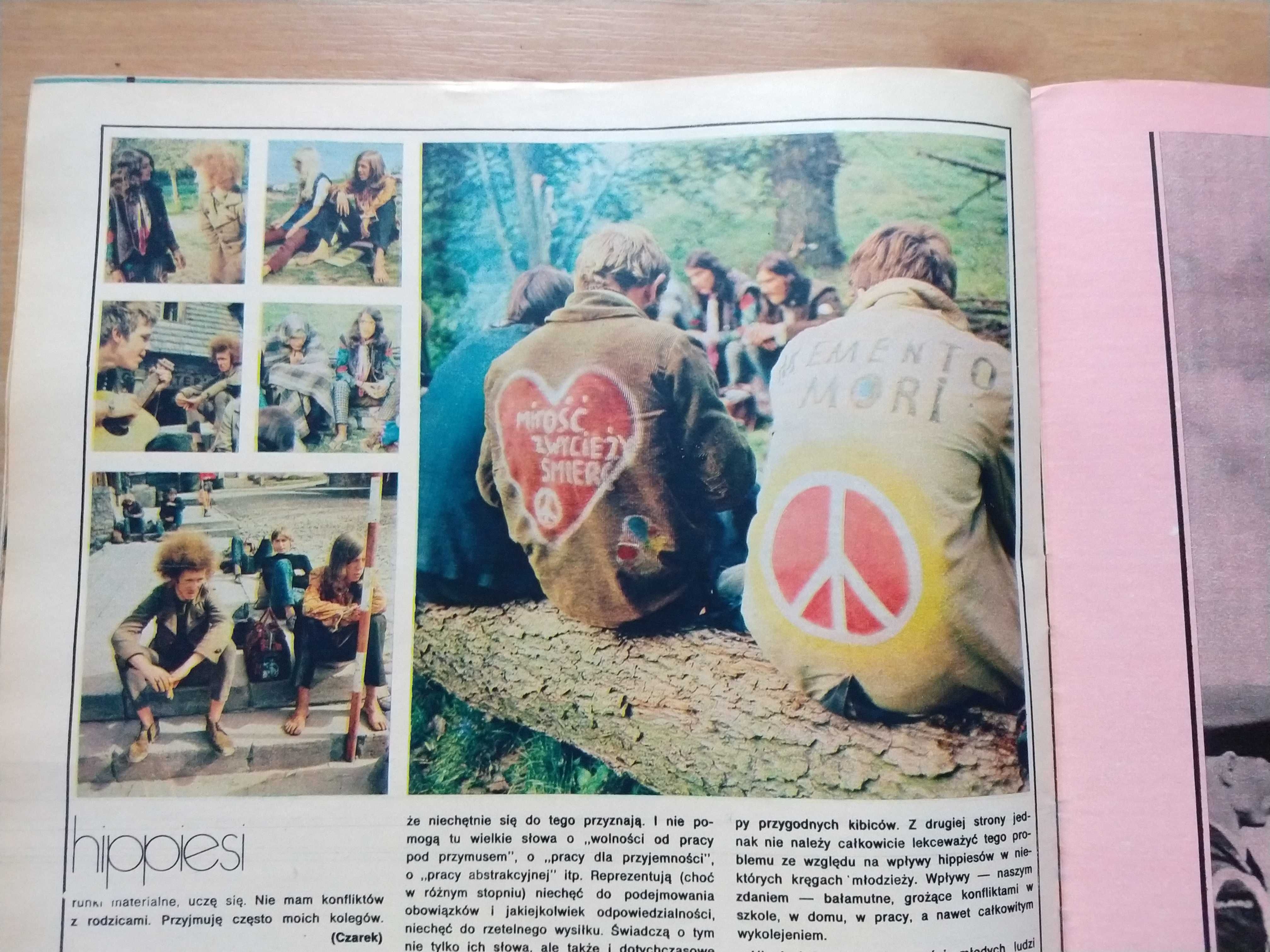 Hippiesi Hippisi czasopismo Perspektywy