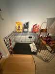 Dog Crate – Like New, Hardly Used /Cão Grande – Como Nova, Pouco Usada