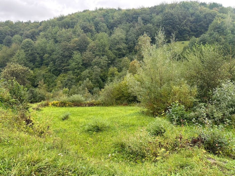 СВІТЛО НА ДІЛЯНЦІ 10кВт. Ділянка 0,1270 га.