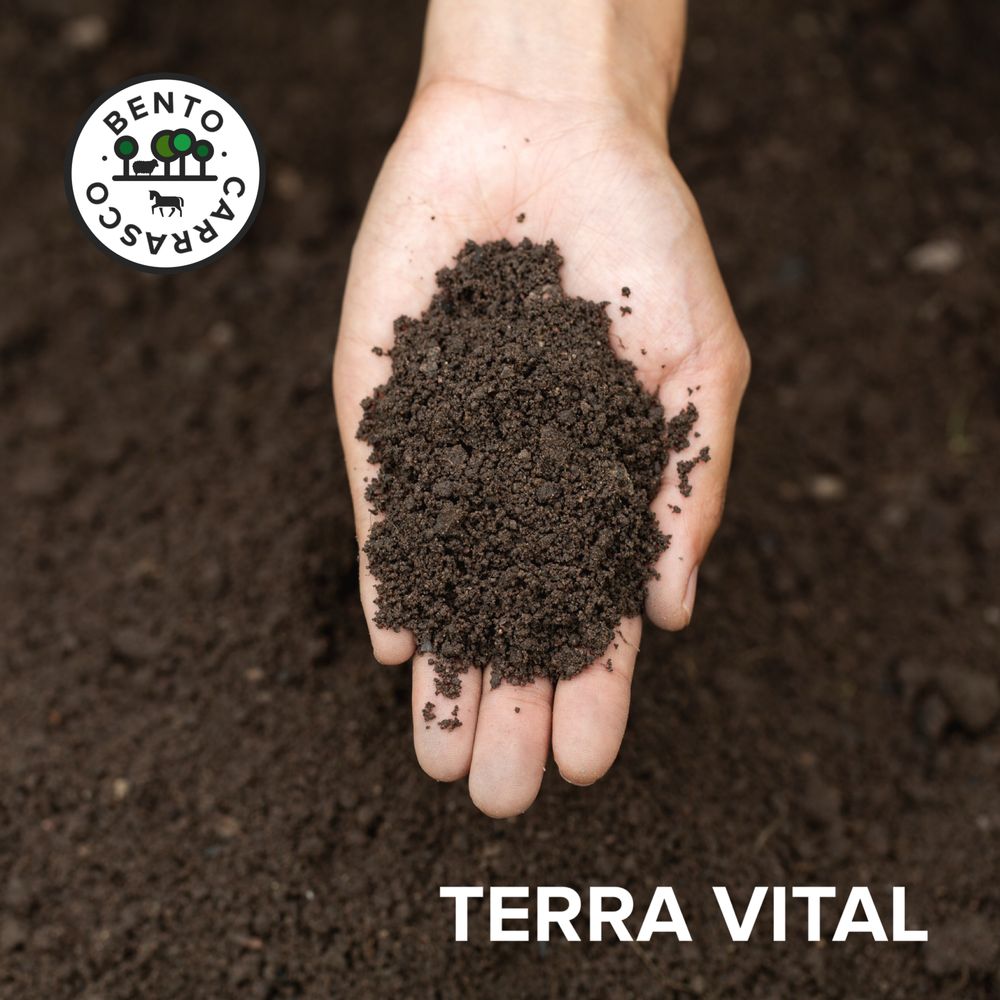 Terra Vegetal Composta