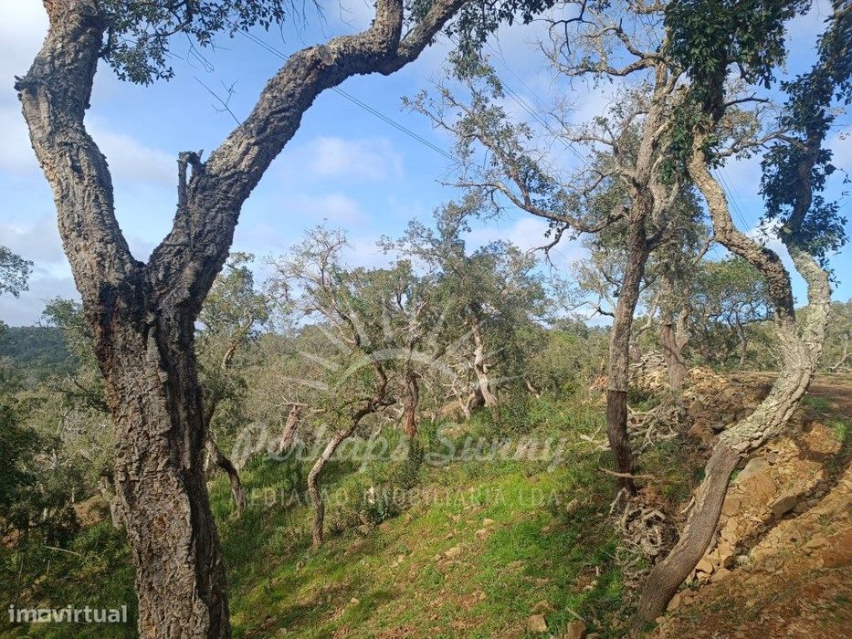 Terreno Rustico São Francisco da Serra