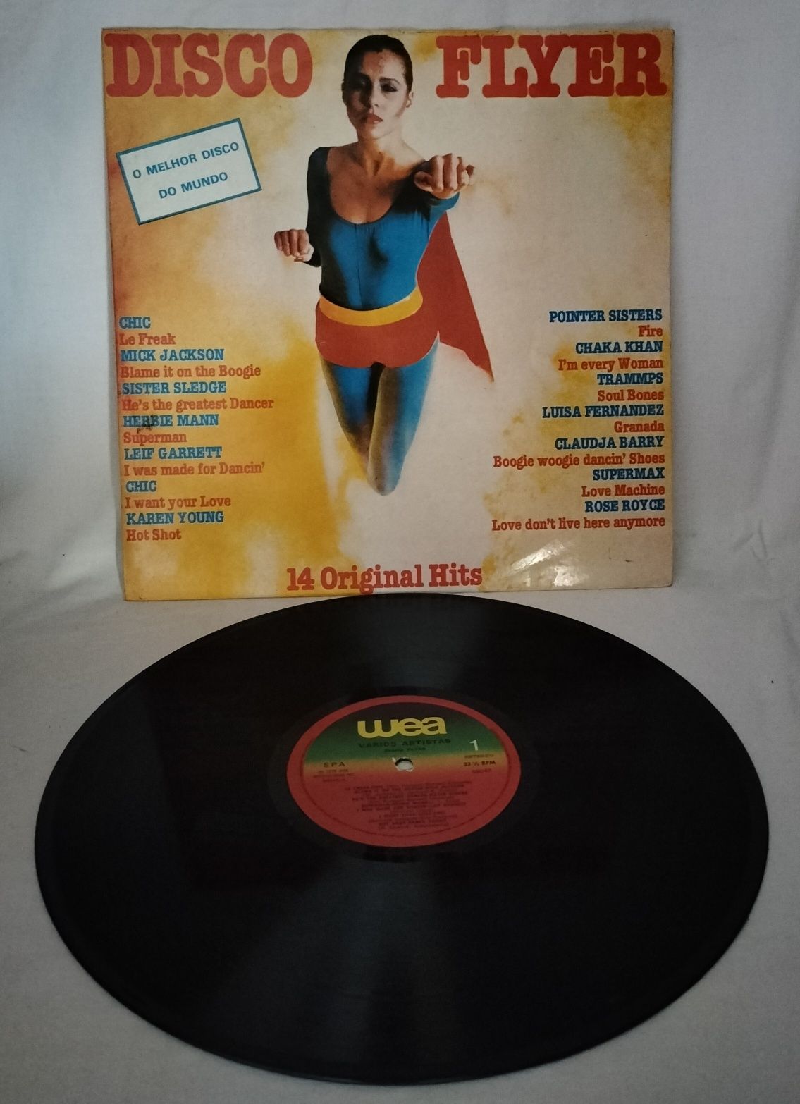 Disco Vinil Flyer