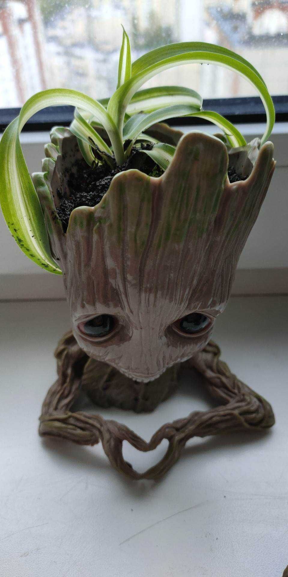 Горщик Грут (Groot) з рослинами ( фікус хлорофіліптум красула )