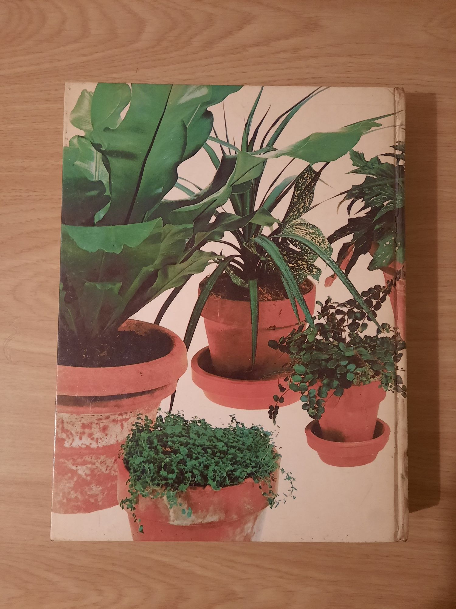 O grande livro das plantas de interior