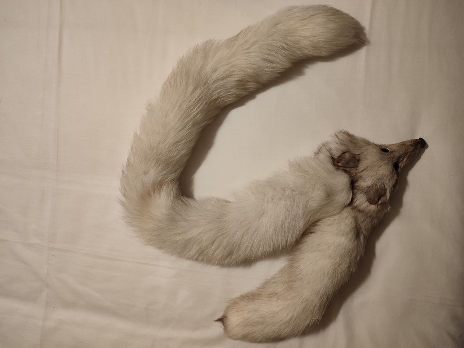 Estola de pele raposa