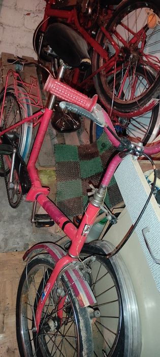 Wigry dla kolekcjonera