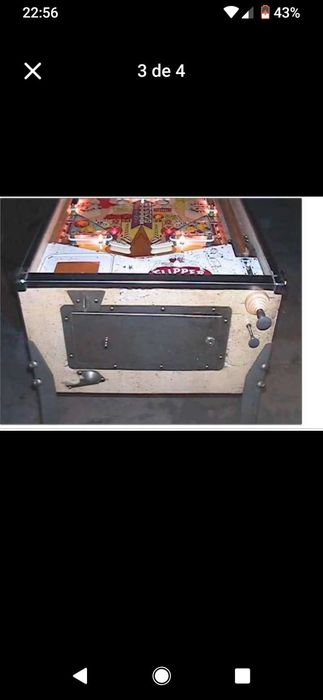 Flipper Flipper Parade