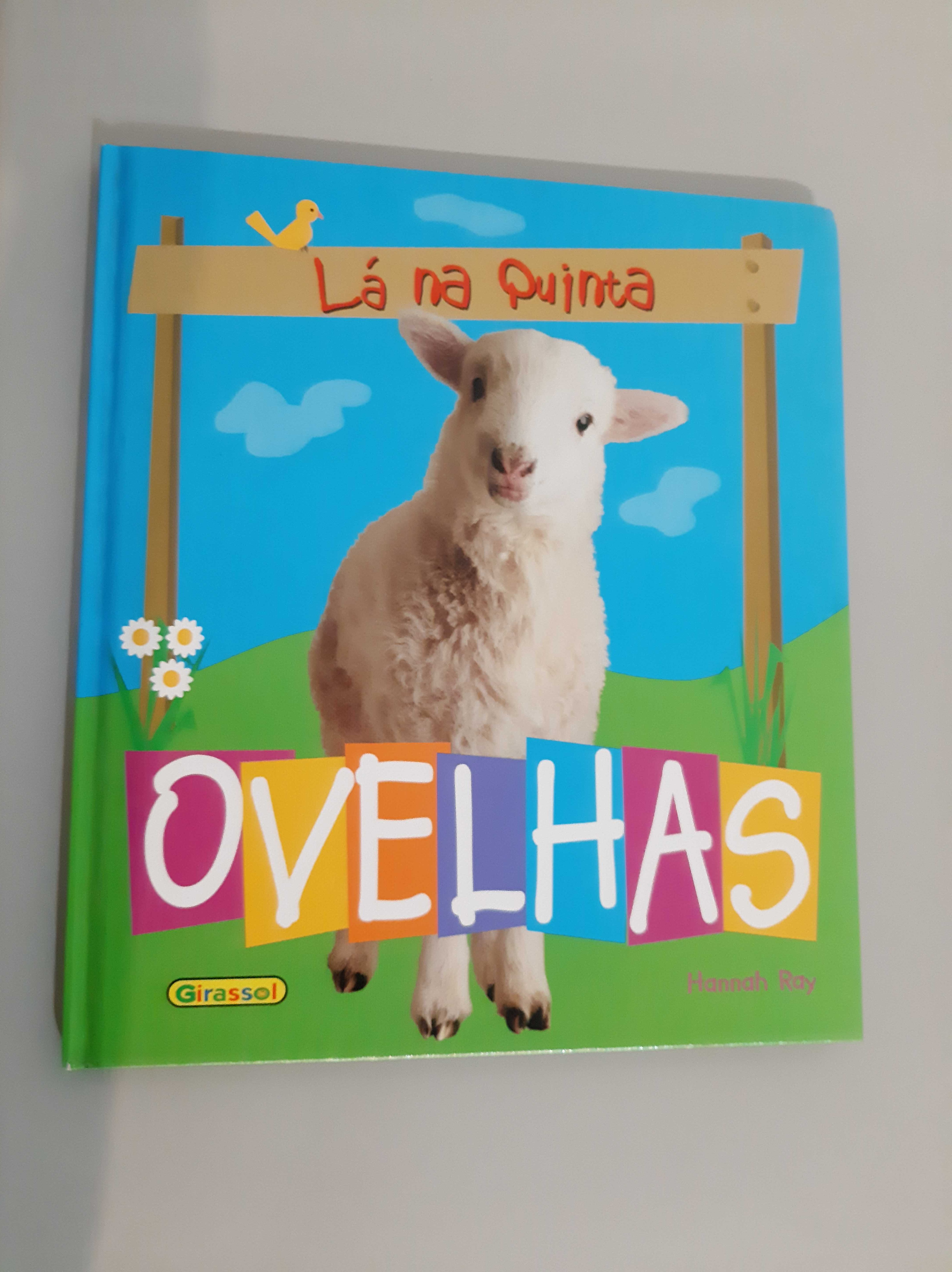 Livros infantis didácticos