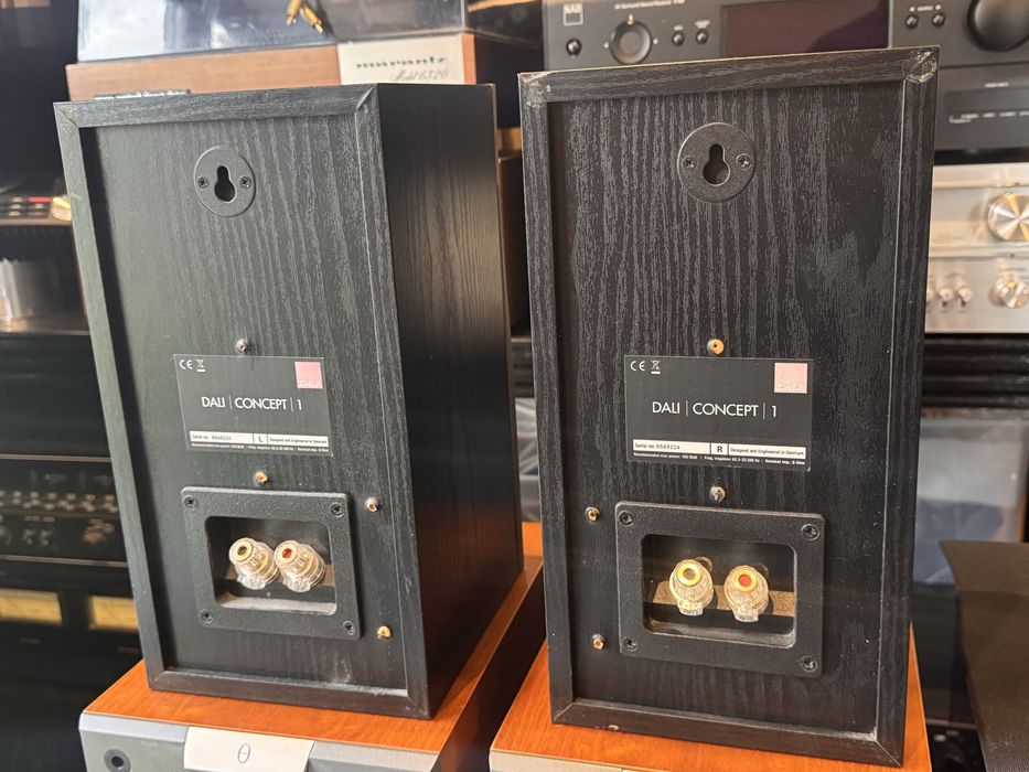 Dali Concept 1 kolimny podstawkowe