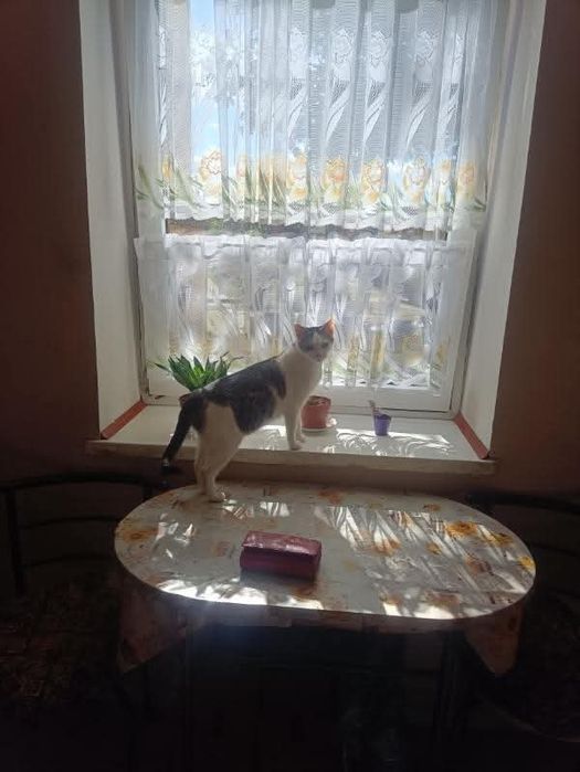 Czy możemy liczyć na cud?..